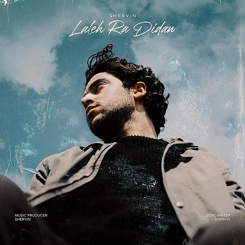 Laleh Ra Didan - Shervin Hajipour